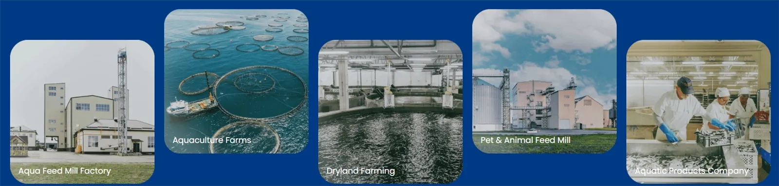 20260213163307 20260213163307